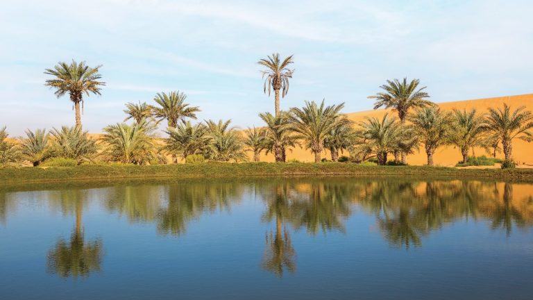 طباعة عقد الأرض الابتدائي