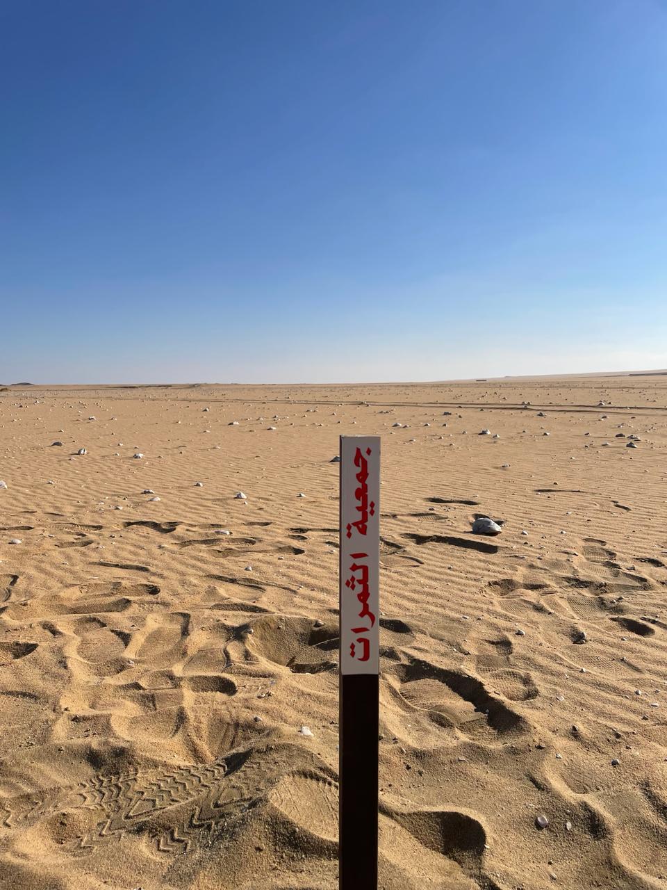 جمعية الثمرات