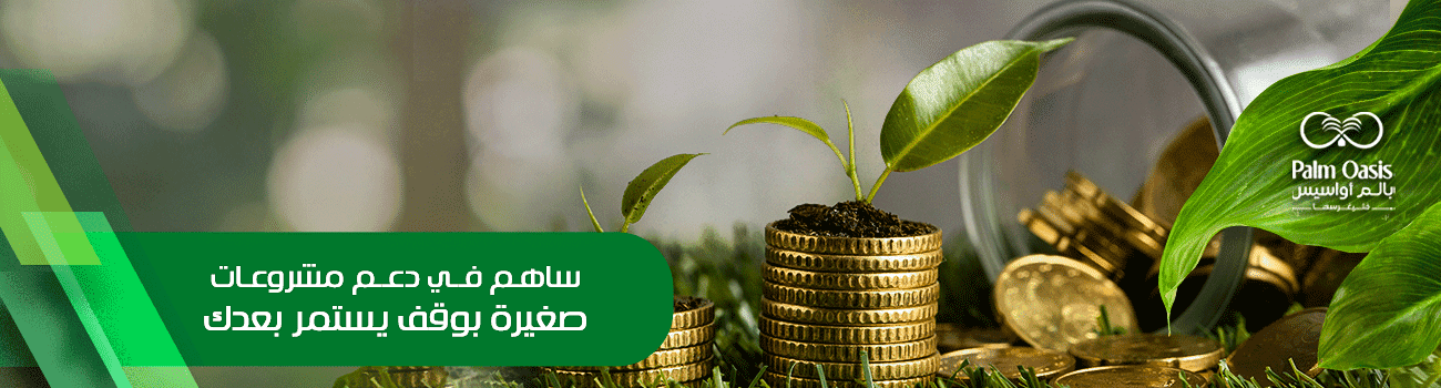 المشروعات الصغيرة