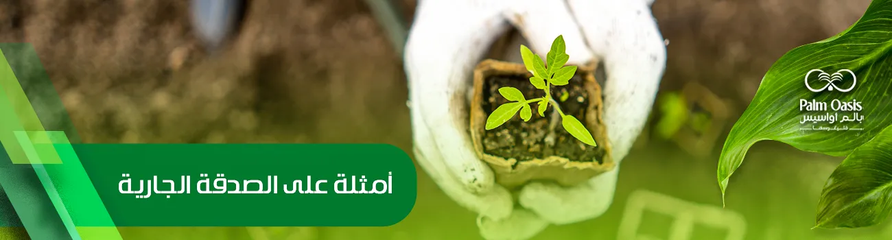 أمثلة على الصدقة الجارية