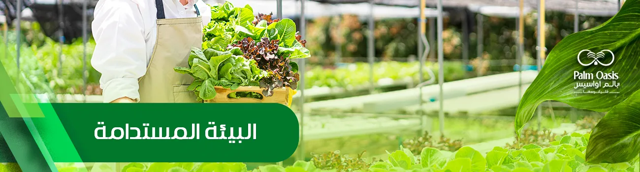 البيئة المستدامة 