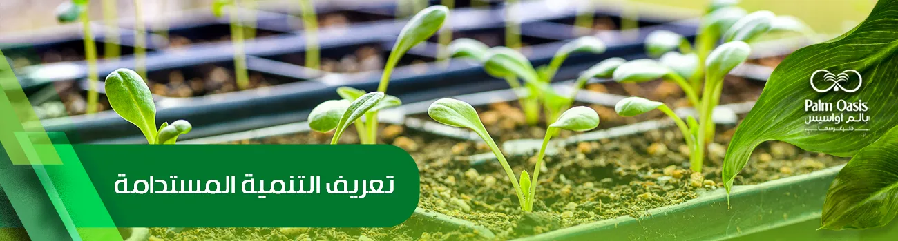 تعريف التنمية المستدامة 