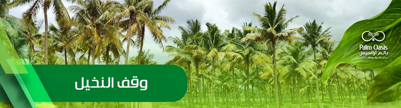 وقف النخيل