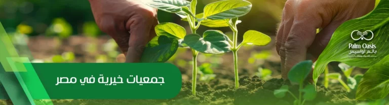 جمعيات خيرية في مصر