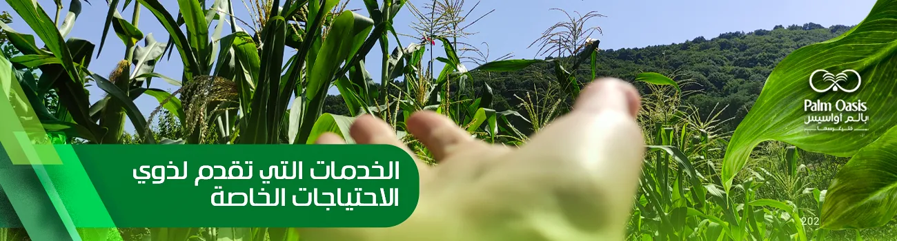 الخدمات التي تقدم لذوي الإحتياجات الخاصة