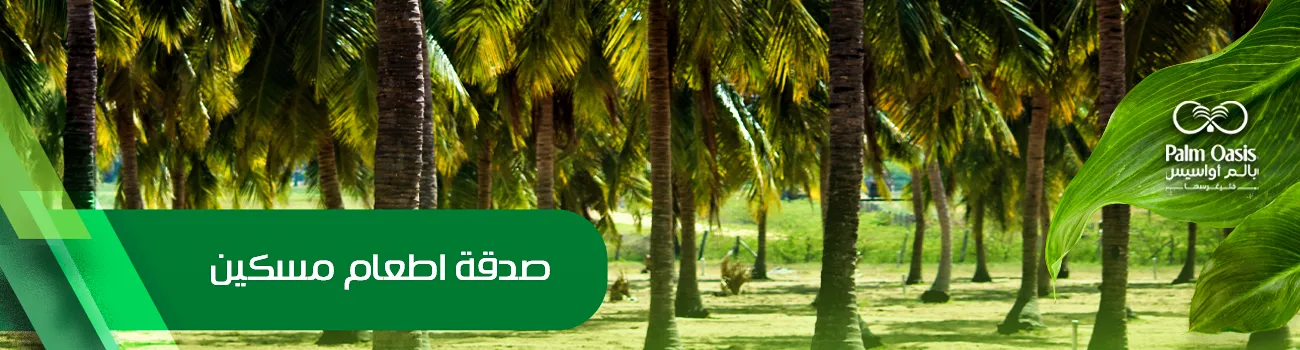 صدقة إطعام مسكين