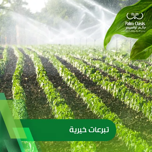 تبرعات-خيرية