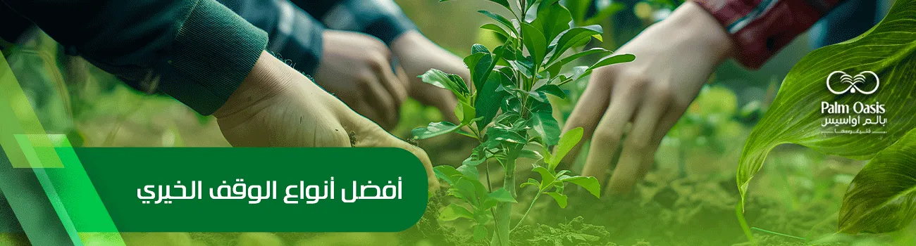 أفضل أنواع الوقف الخيري