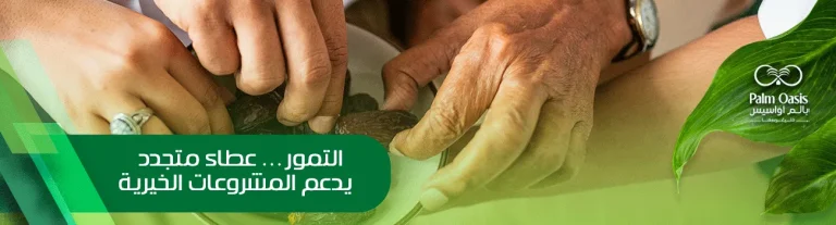 التمور كمصدر دخل دائم للمشروعات الخيرية